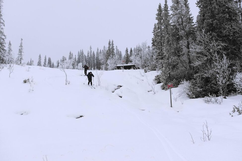 Klicka för att förstora