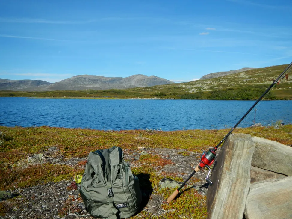 Klicka för att förstora