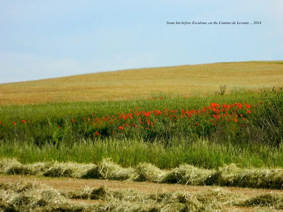 Klicka för att förstora
