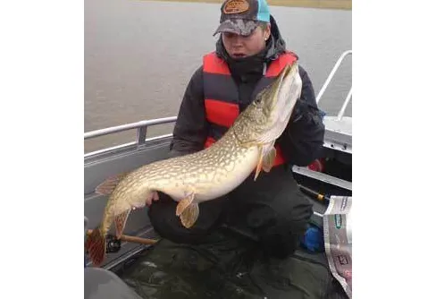 Makalös ungdomsträff