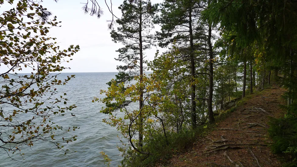 Klicka för att förstora