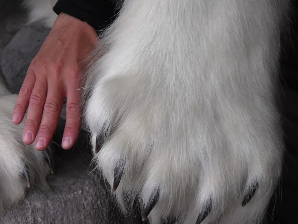 Klicka för att förstora