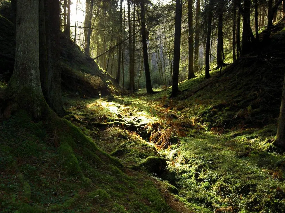 Klicka för att förstora