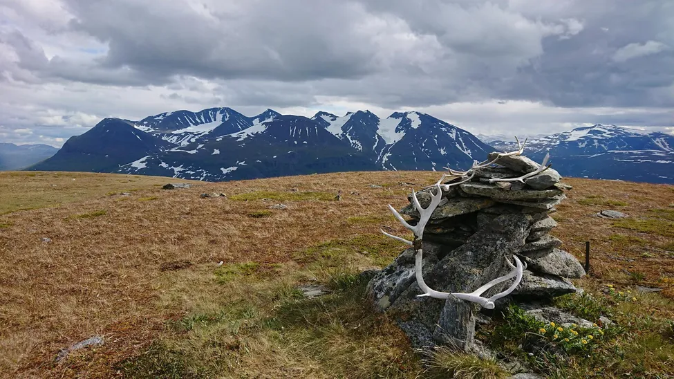 Klicka för att förstora