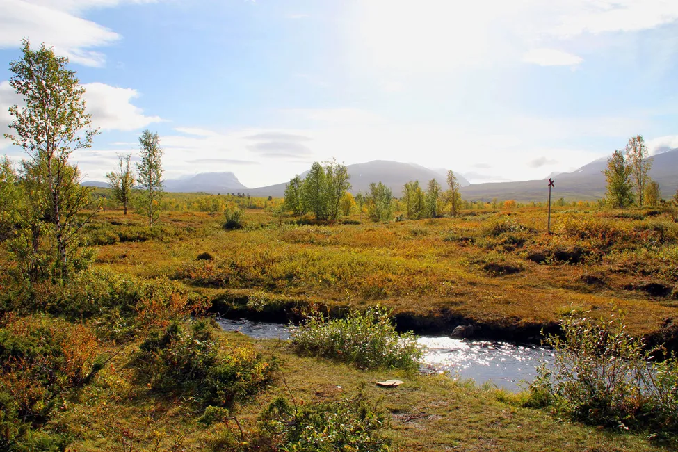 Klicka för att förstora