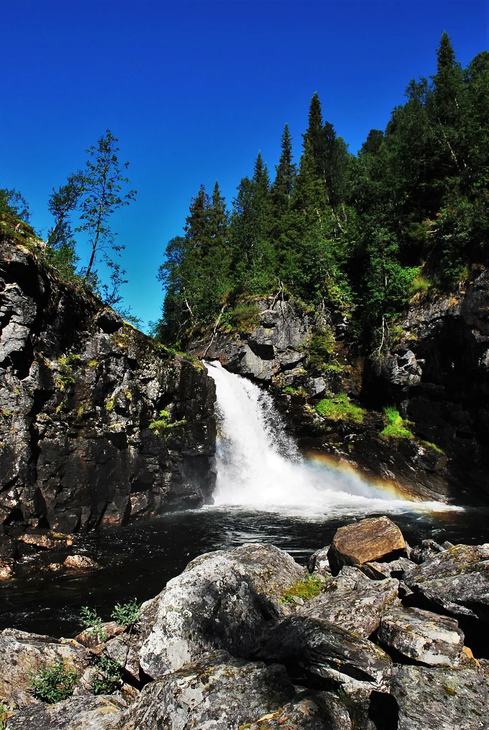 Klicka för att förstora