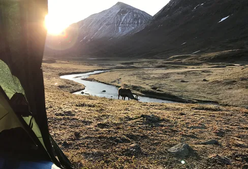 Sarek – Kvikkjokk till Ritsem