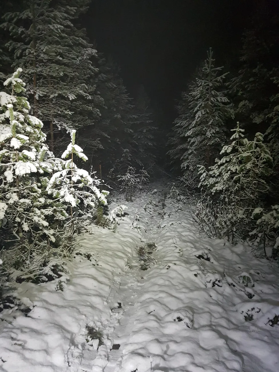 Klicka för att förstora