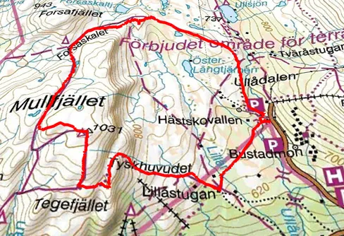 Lugn dag på Mullfjället och i Ullådalen 18 augusti 2024