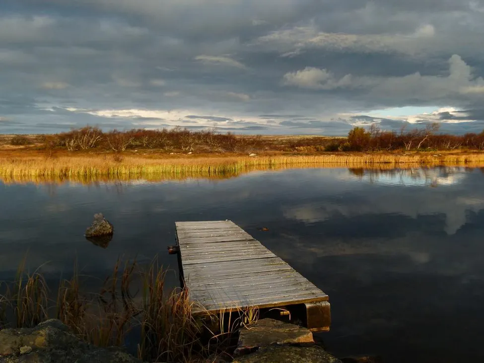 Klicka för att förstora