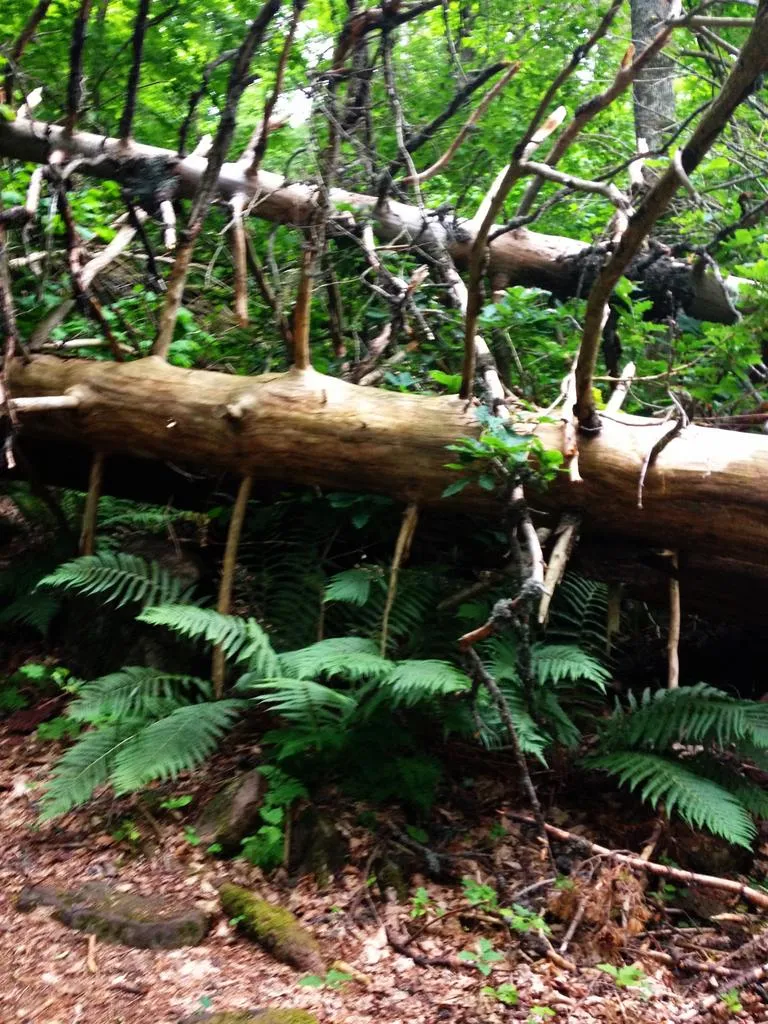 Klicka för att förstora