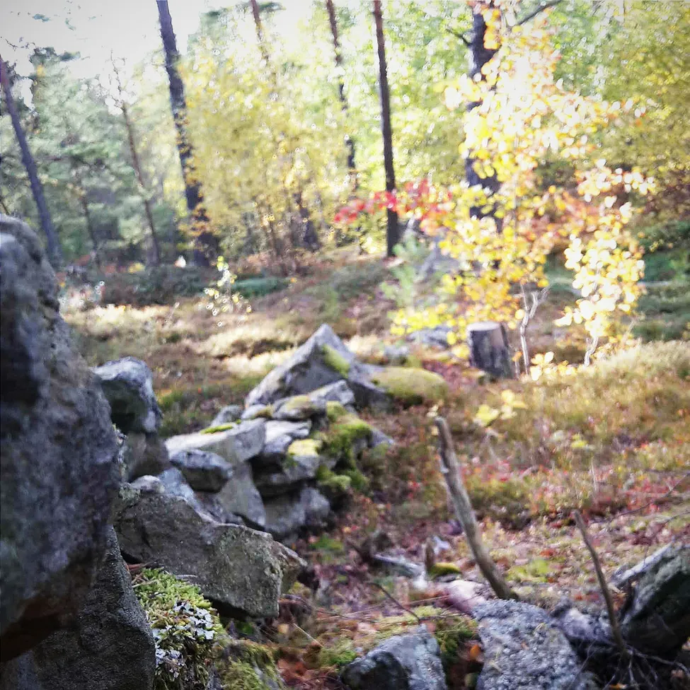 Klicka för att förstora