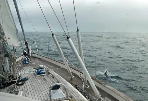 Med segelbåt till den yttersta nord