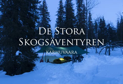 De stora skogsäventyren