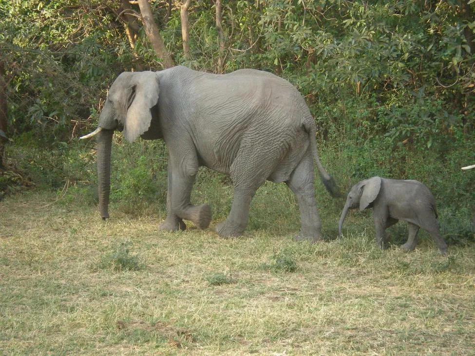 Klicka för att förstora