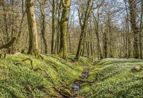 Stor ökning av besök i nationalparker