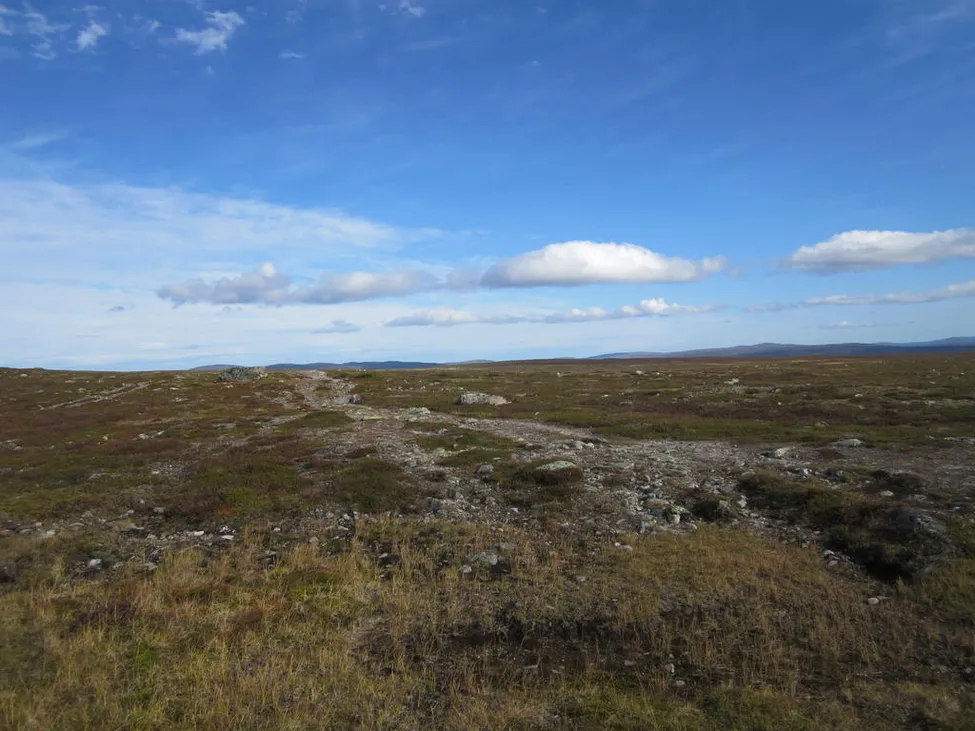 Klicka för att förstora