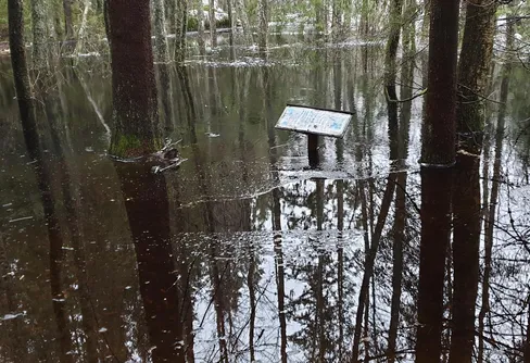På jakt efter en kallkälla