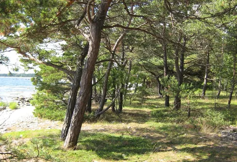 Rauka vägen, fnissade jag... Äventyr för hela familjen...