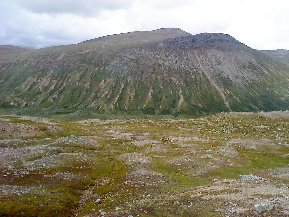 Klicka för att förstora