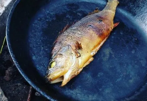 Stekpannerökt abborre