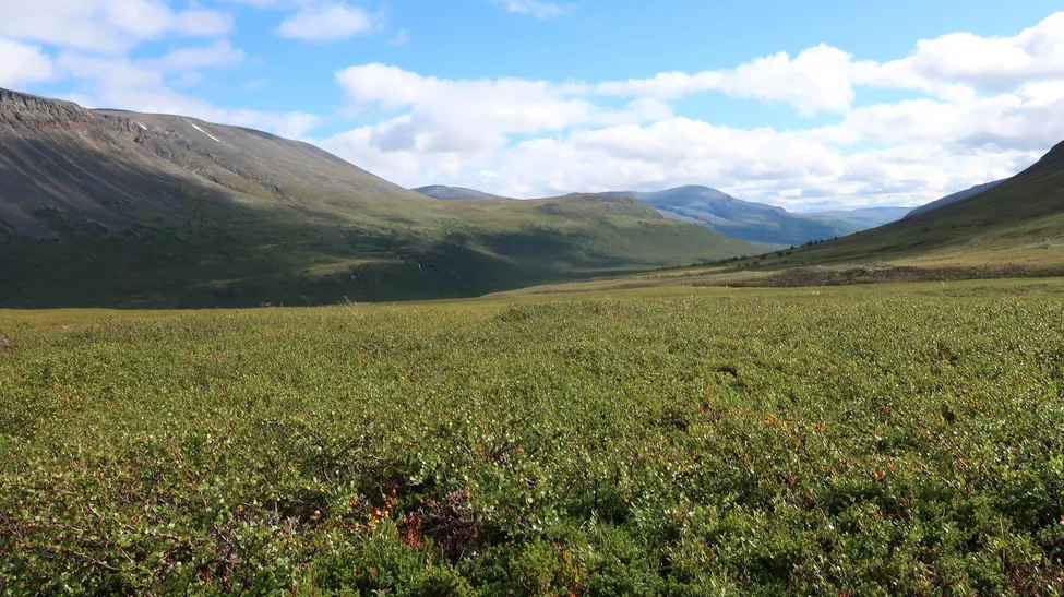 Klicka för att förstora