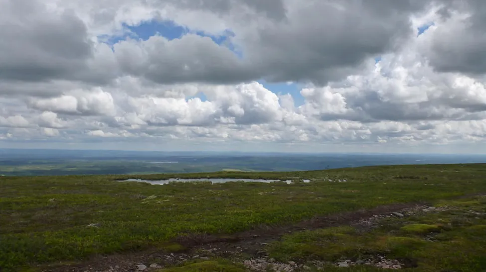 Klicka för att förstora