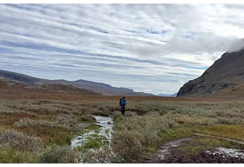Inte många falsklarm i fjällen