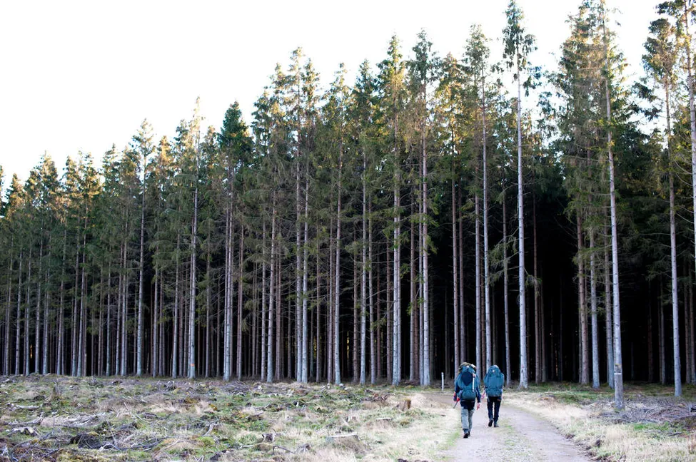 Klicka för att förstora