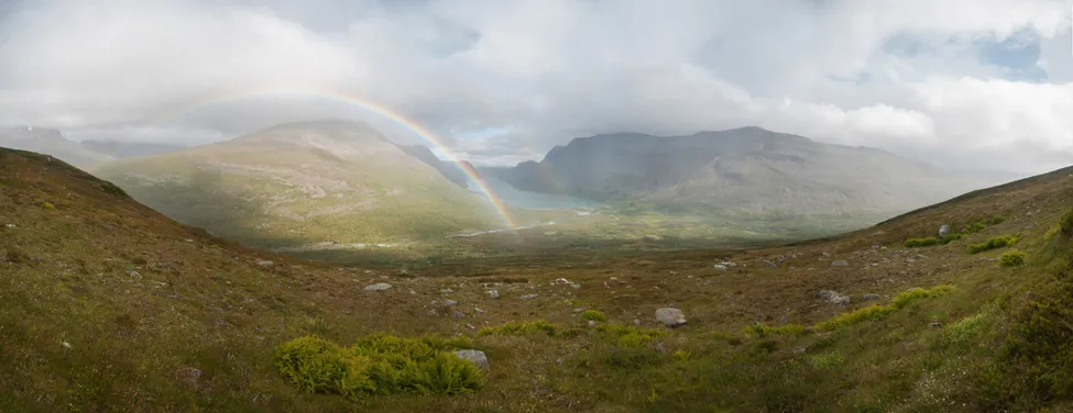 Klicka för att förstora