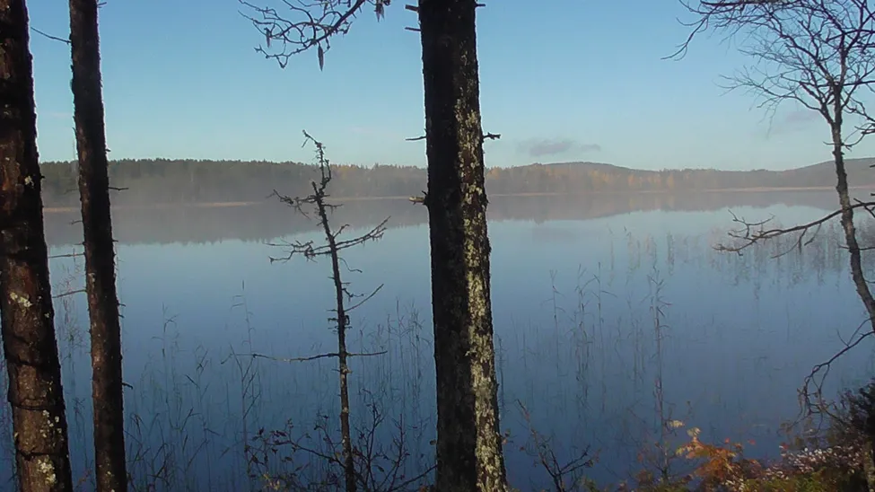 Klicka för att förstora