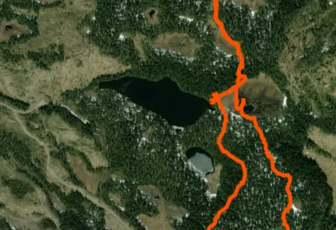 Inte mycket is men fantastisk skog 241117