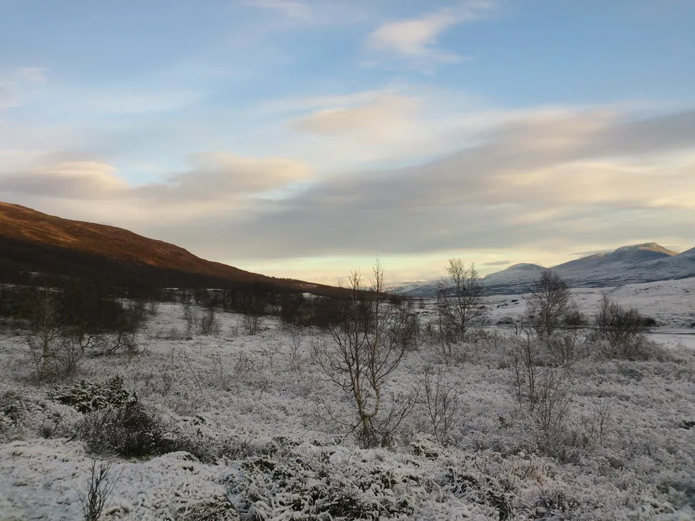 Klicka för att förstora