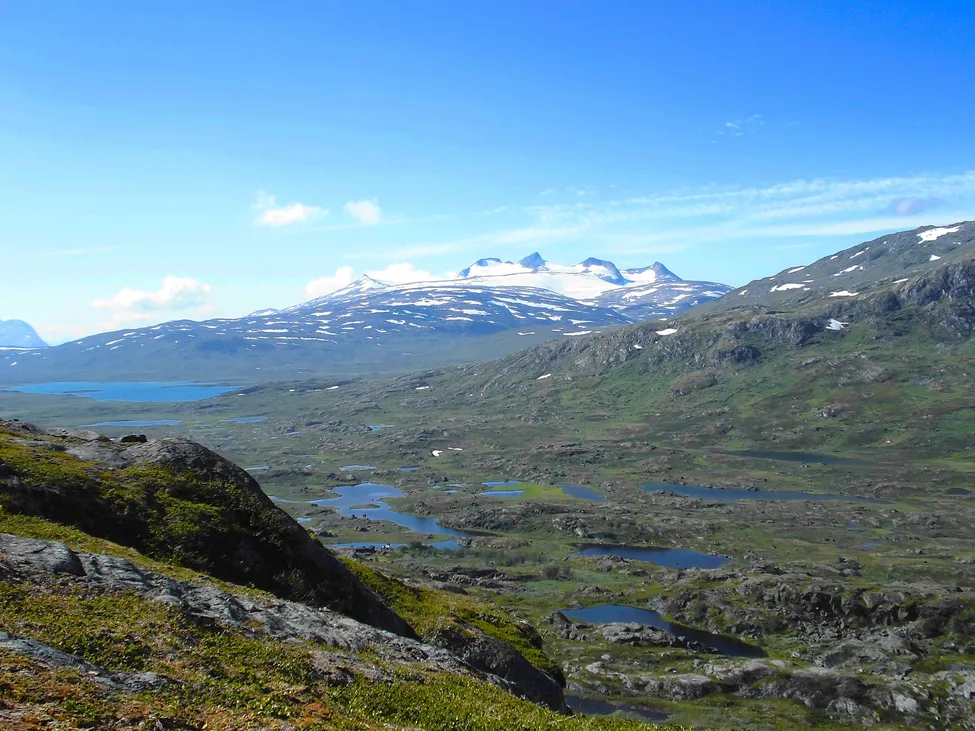 Klicka för att förstora