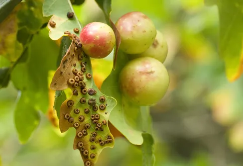 Skolelever hjälpte forskare