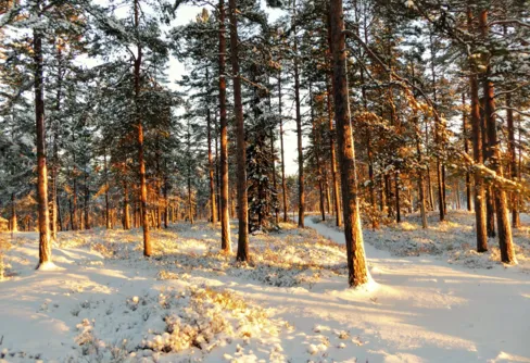 Ringsbergsleden - södra delen