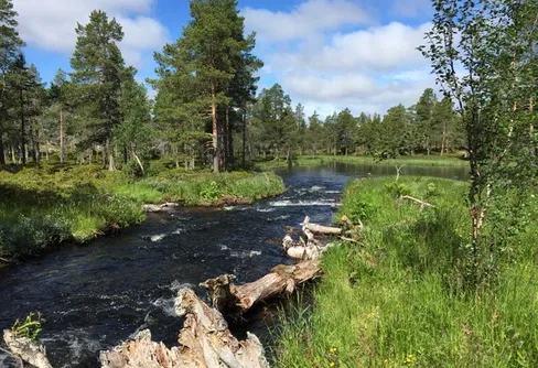 Information från Länsstyrelserna i Dalarna och Västerbotten
