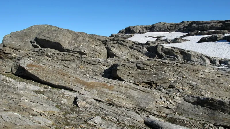 Klicka för att förstora