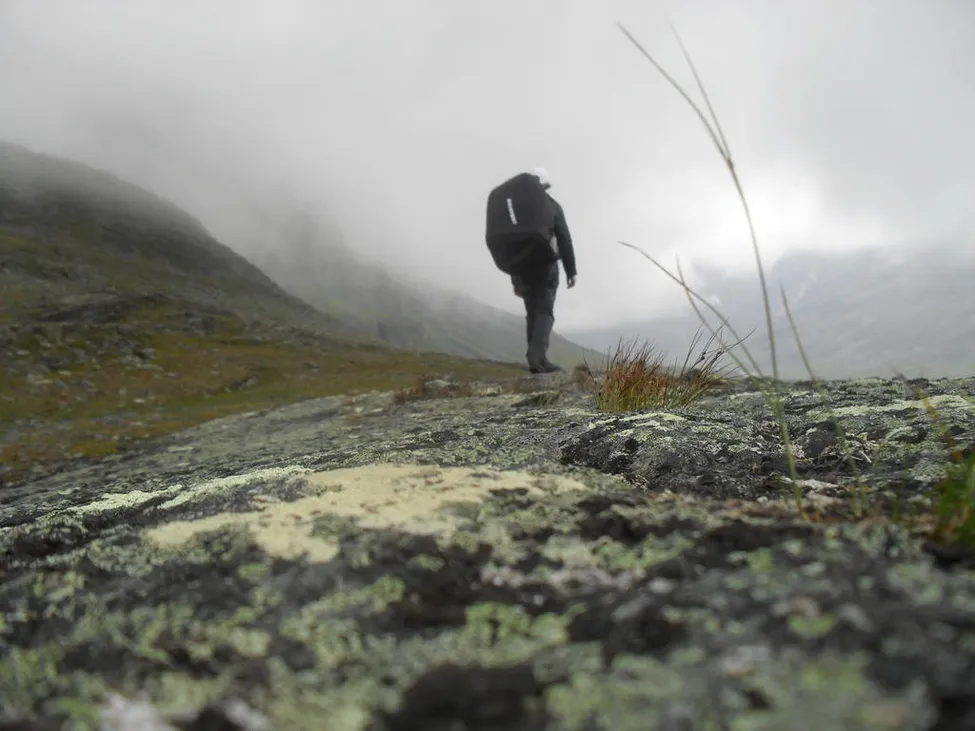 Klicka för att förstora