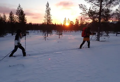 Gutulia nationalpark och sedan till Grövelsjön 251230