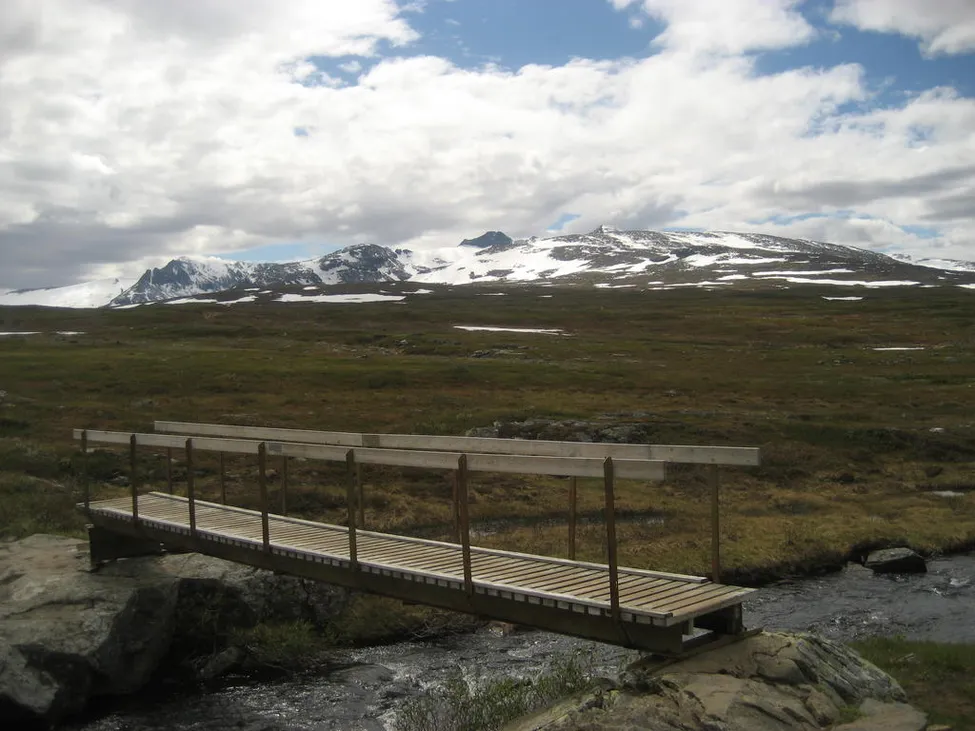 Klicka för att förstora