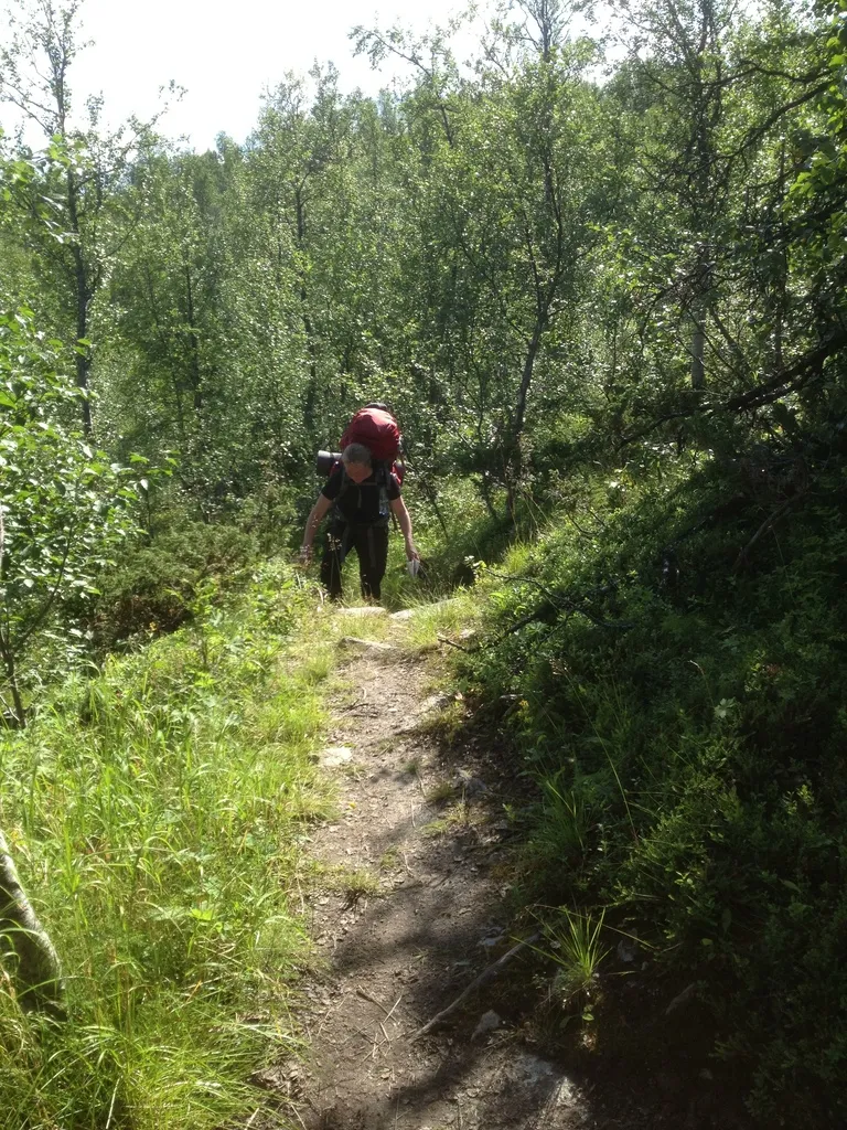 Klicka för att förstora