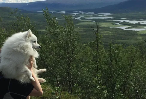 Nikkaluokta - Mårma - Abisko via Leavasvaggi, Siellavaggi och Ballinvaggi, 10 - 17 juli 2016