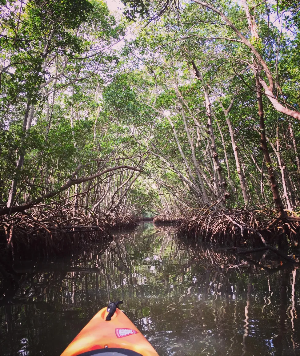 Klicka för att förstora