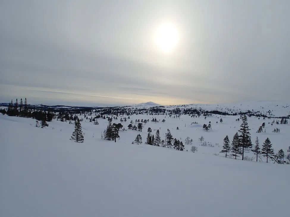 Klicka för att förstora