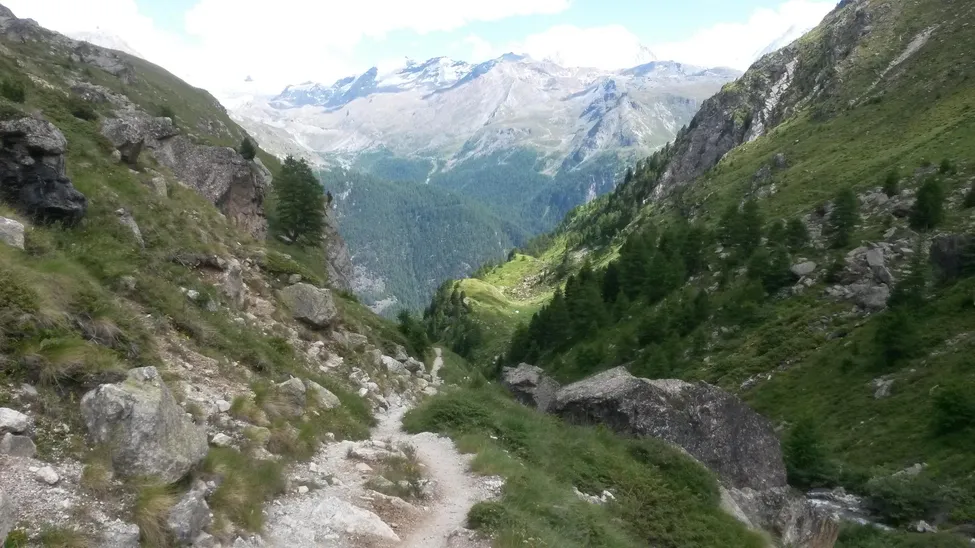 Klicka för att förstora