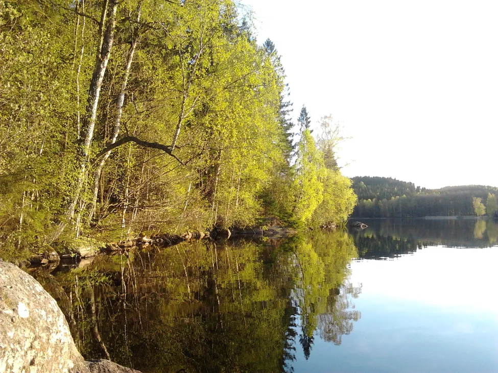 Klicka för att förstora