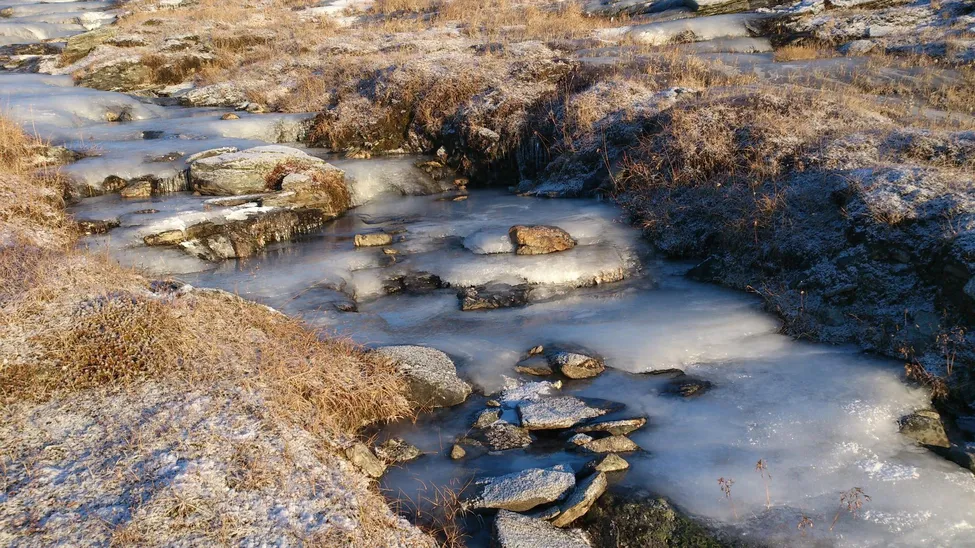 Klicka för att förstora