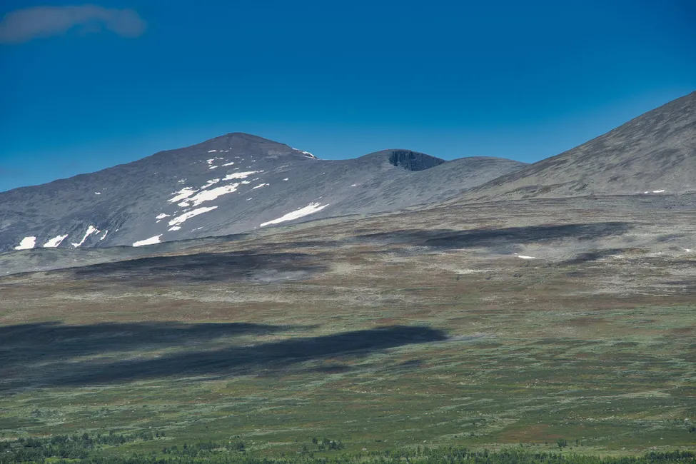 Klicka för att förstora