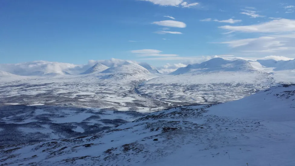 Klicka för att förstora